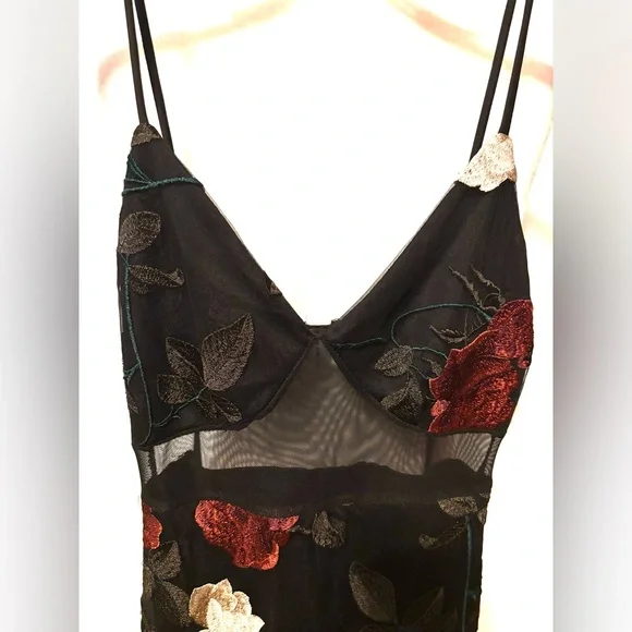 NWT Beautiful Blue Blush Dress with Red and White Floral Details - Picture 5 of 15